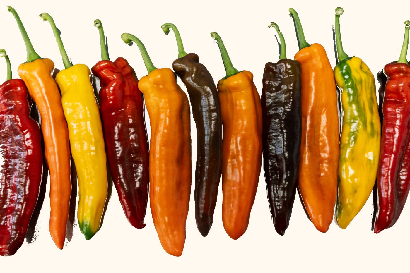 Palermo Pepper