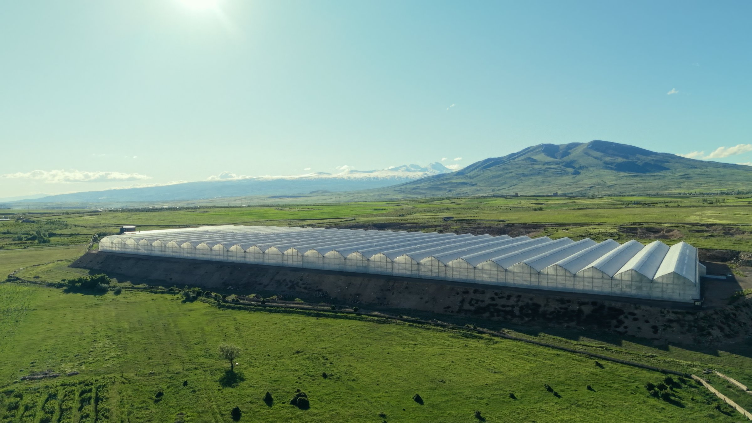 Regatta Fresh greenhouses