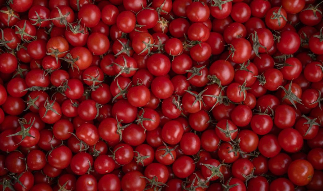 Cherry Tomato