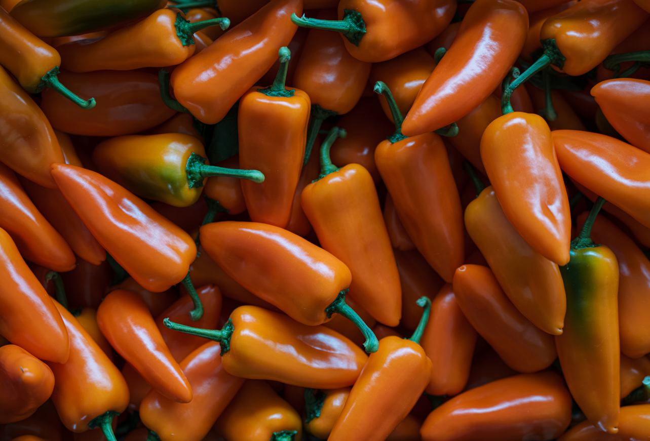 Mini Sweet Pepper